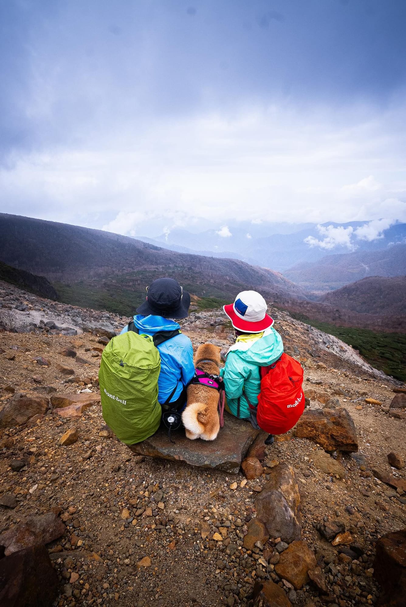 愛犬との登山・アウトドア